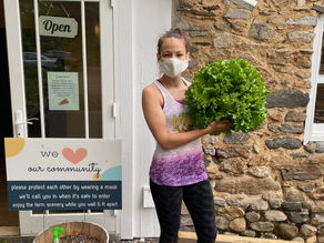 Summer Subscription 2020 Week 2B