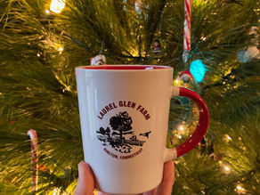 Fall Subscription 2020 Week 8P (Pickup!)