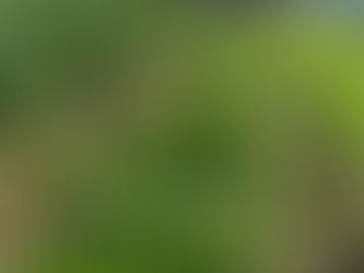 2021 Main Season Week 18P