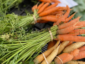 Summer Subscription 2020 Week 8B