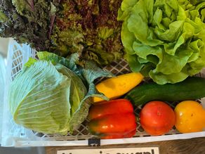 2022 Main Season Week 2P