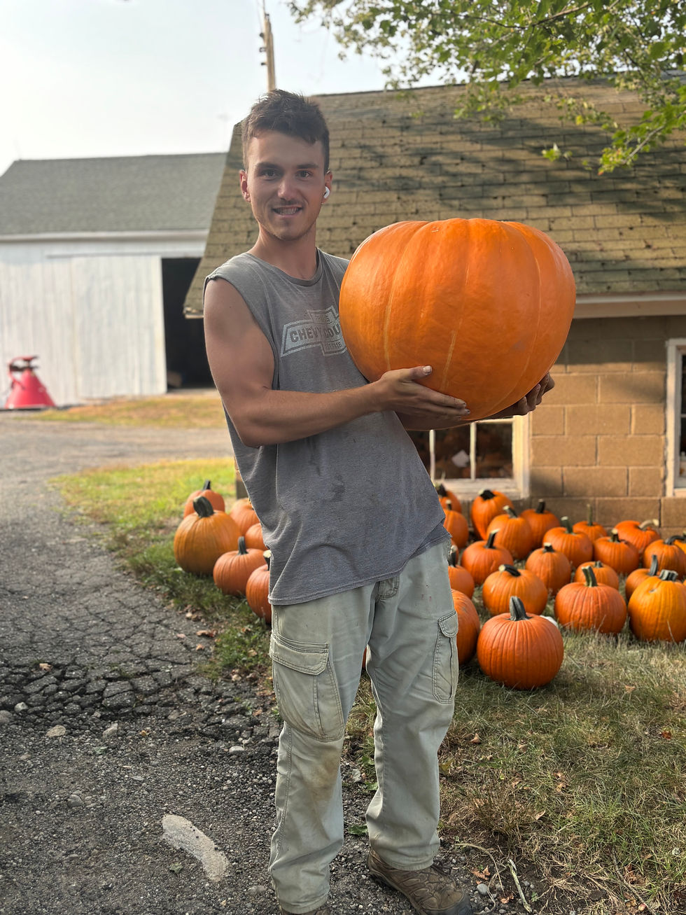 Fall is creeping in at the farm