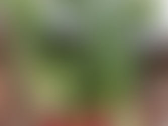 12 Tips for Meal Planning Success