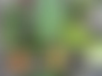 Summer Subscription 2020 Week 6B