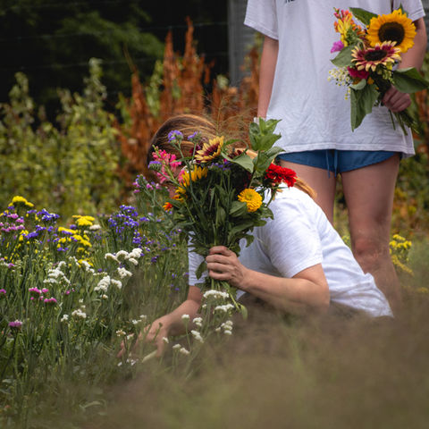 A woman picks a bouquet of flowers at The Fields at Laurel Glen Farm in Shelton, CT.