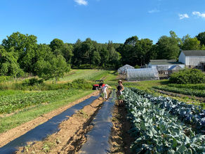 2022 Main Season Week 4P