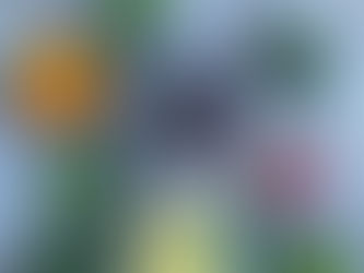 What is the Surplus Subscription and why do some members opt for this program?