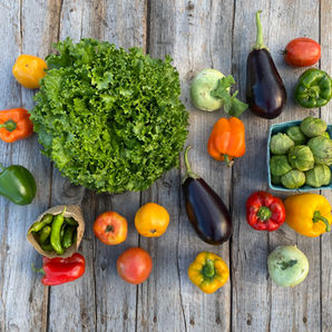 Vegetable Subscription box contents from Laurel Glen Farms Vegetable Subscription CSA.