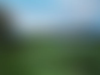 Summer Subscription 2020 Week 14B