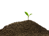 Plant delete hero.png