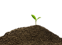 Plant delete hero.png