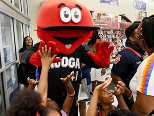 Chattanooga Lookouts Owner Charged With Running a Ponzi Scheme