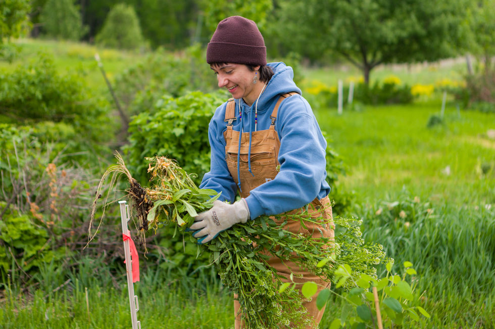 2025-05-17-dining-student-farm-planting-day-13
