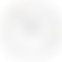 A Terminal Government