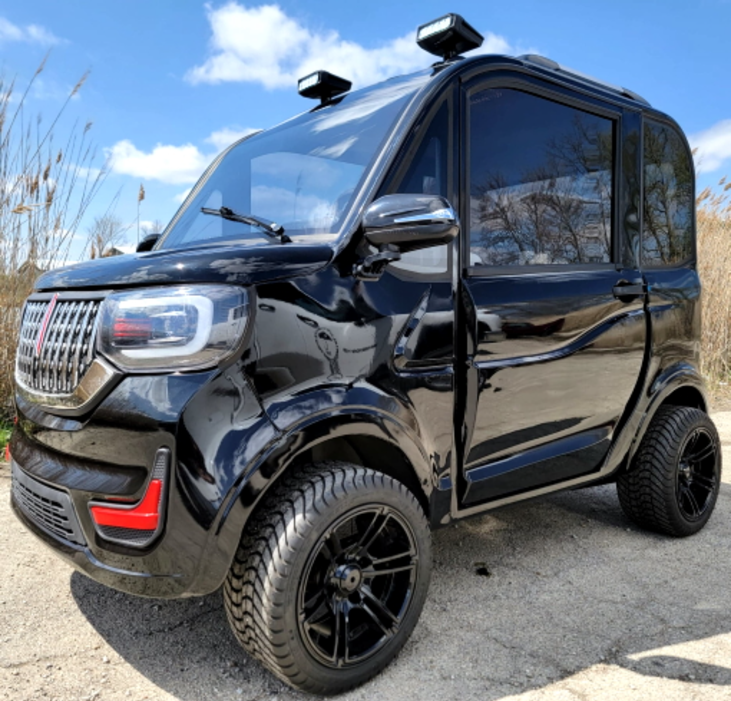 Exotic Golf Cart - Black LSV Low Speed Vehicle