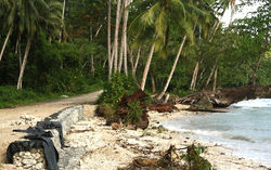 Solomon Islands 3