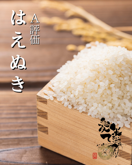 はえぬき