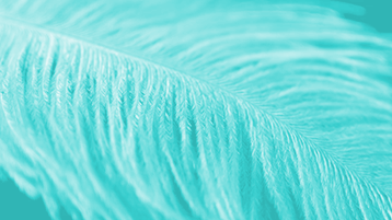 feather-movie-orig-1057945561-4k-trimmed-lite-turq-2.gif