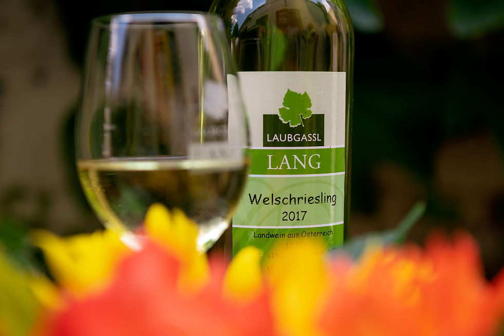 2018.07.31 - Laubgassl Lang - 35