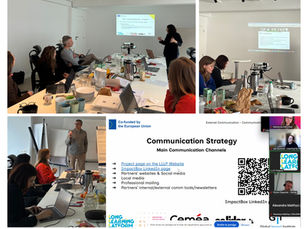Collage photos of the project meeting in a meeting room, with people sitting around a table using laptops and listening to presentations. Slides are projected on the wall, and one image shows a “Communication Strategy” slide with a QR code and online participants joining remotely.  