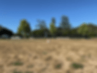 IMG_6089.gif