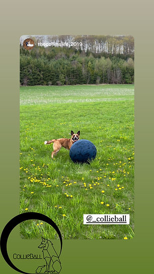 Herding Ball