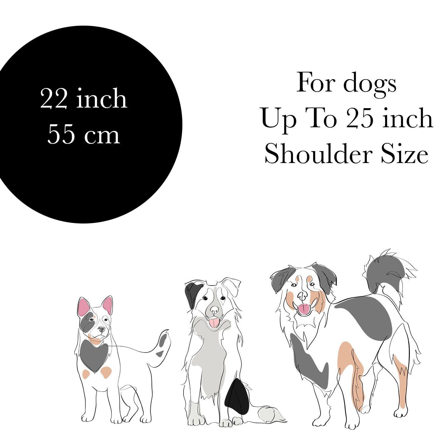 22 Inch (55cm) Diameter CollieBall Complete Package