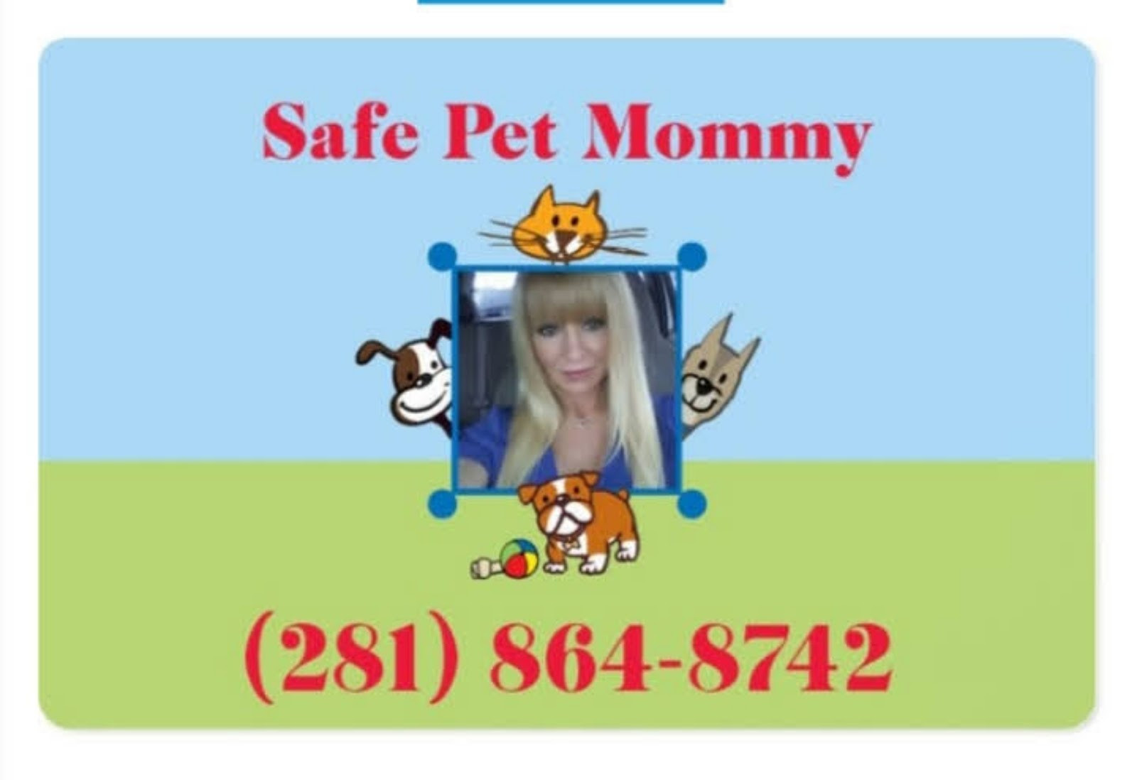 Safe Pet Mommy