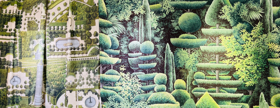 A Window on the World: Maison Pierre Frey