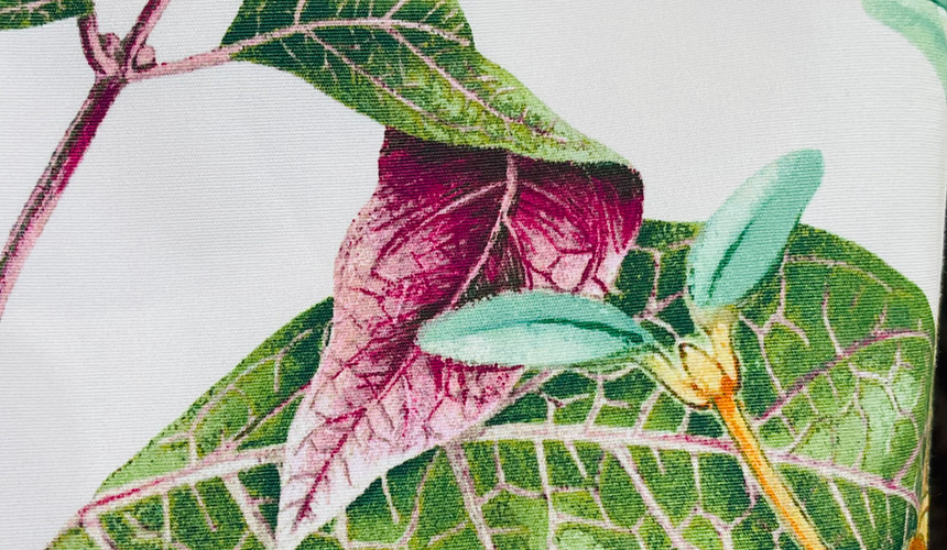 FANTAISIE TROPICALE