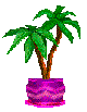 coconut.gif