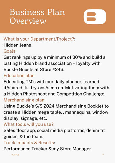 Business Plan Overview