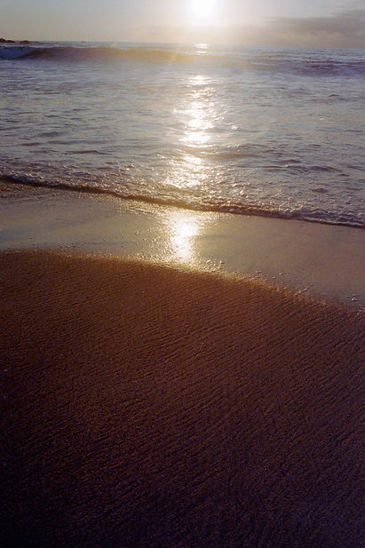 SDP7019 JAIME MENÉNDEZ 7-28.jpg