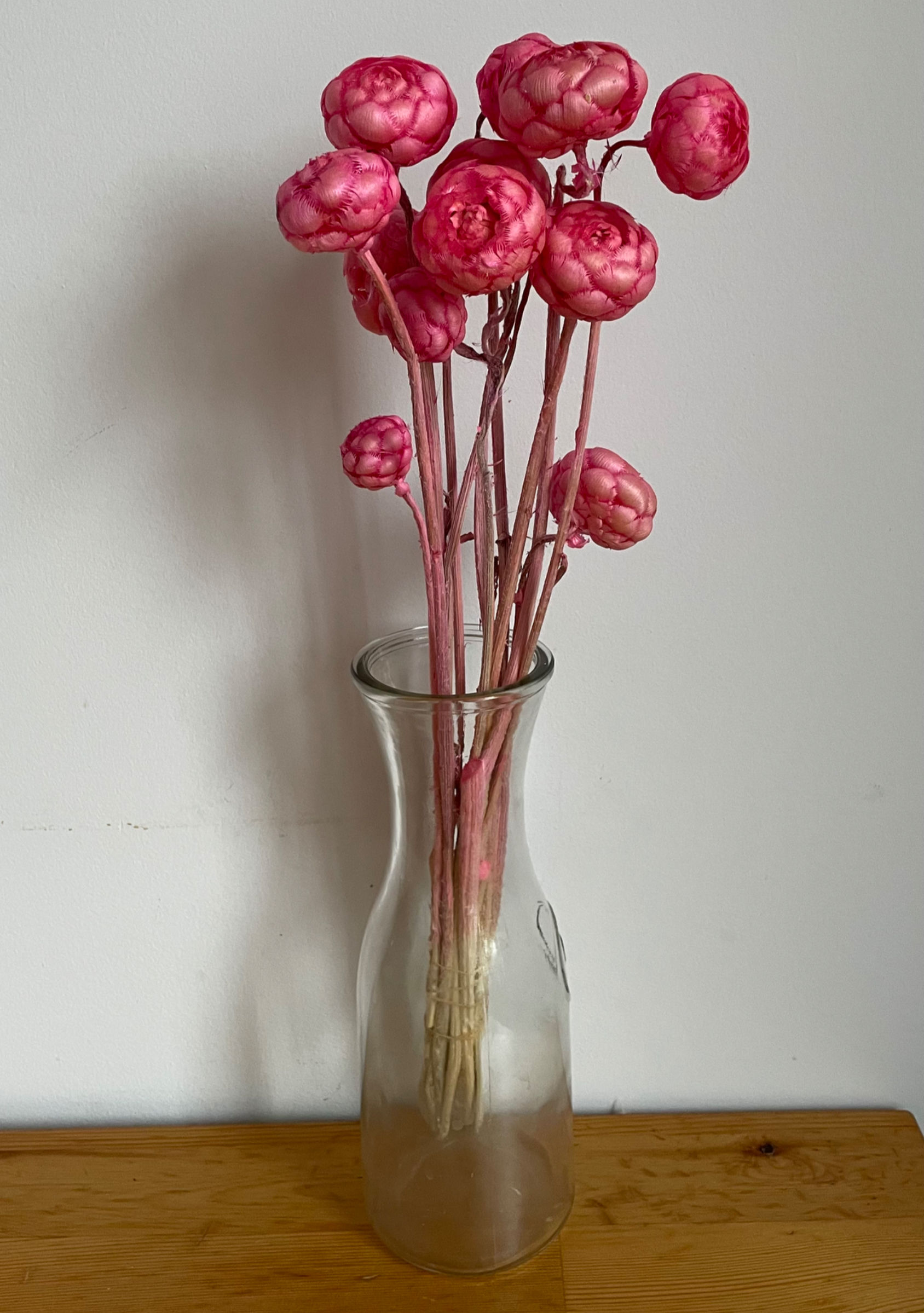 Dried artichoke dyed in pink (single stem)