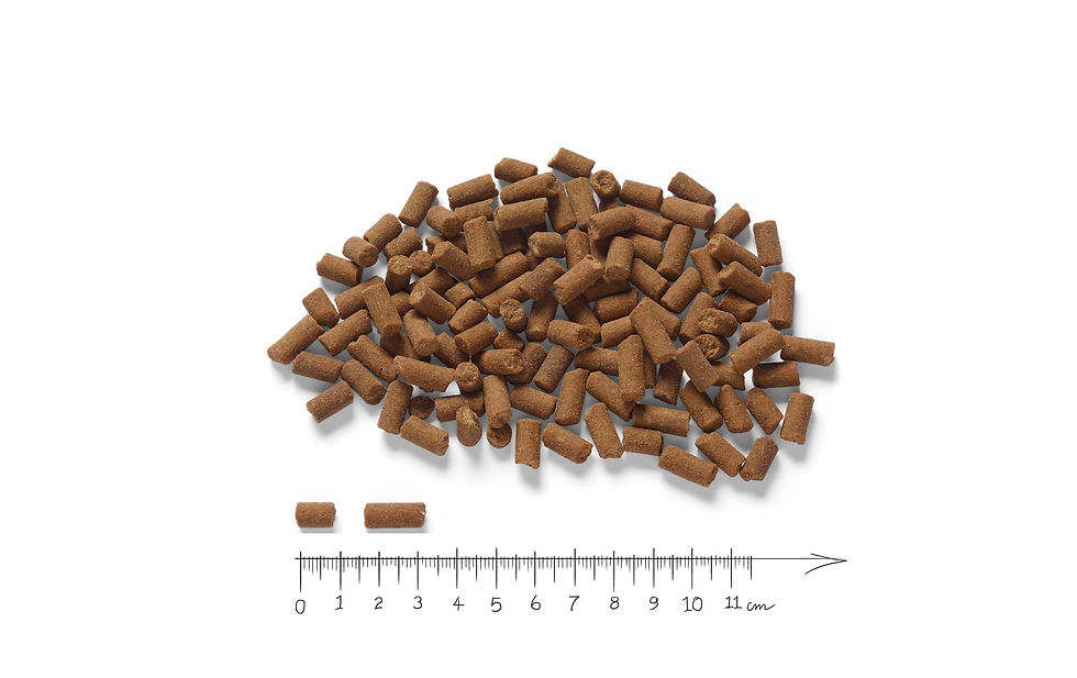 Miniaturbild: Markus Mühle Trockenfutter Beutenah Huhn, 1.2 kg