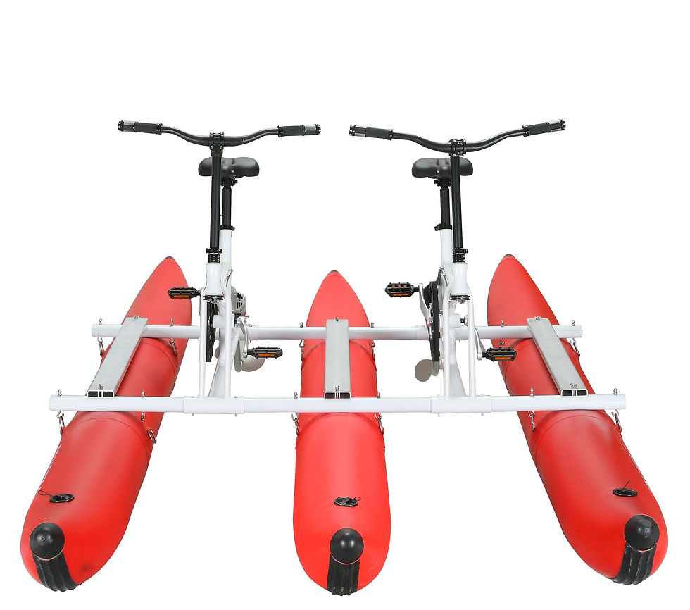 Miniaturbild: Wasserfahrrad Waterbike Tandem