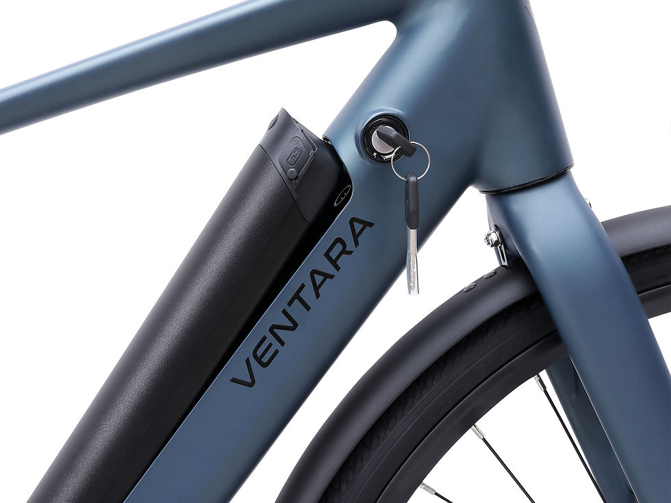 Miniaturbild: E-Bike Citybike SANTIAGO Blau