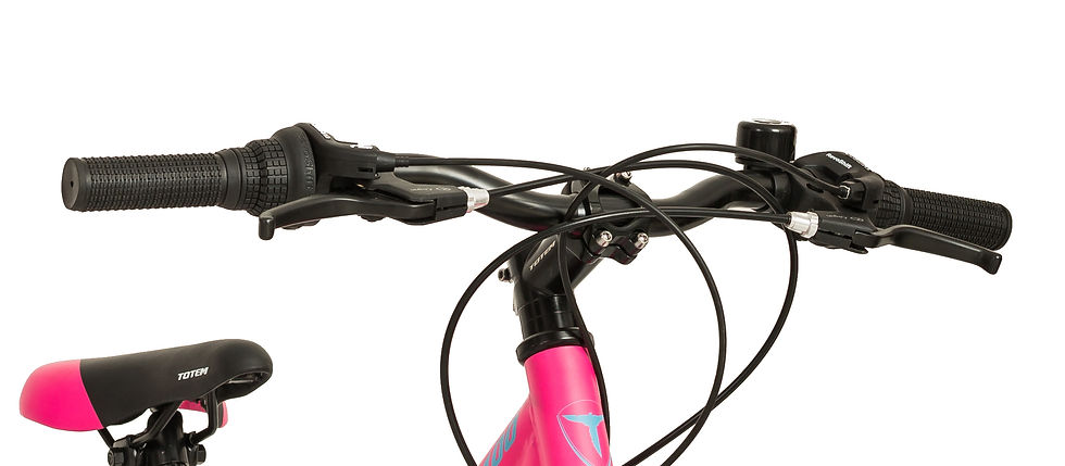 Miniaturbild: Mountainbike RACERGIRL 24 Zoll