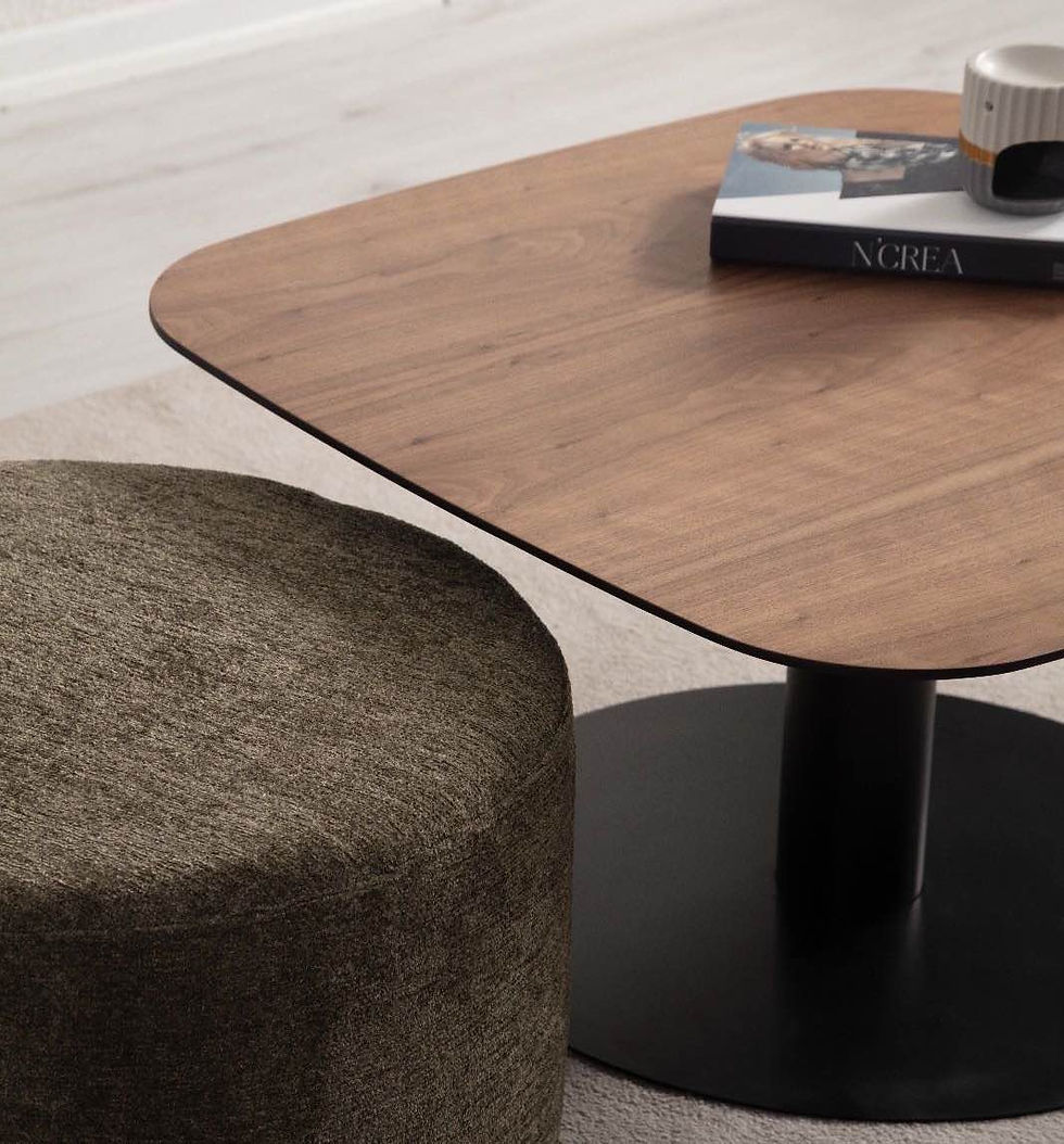 Miniaturbild: Moderner Couchtisch Holz