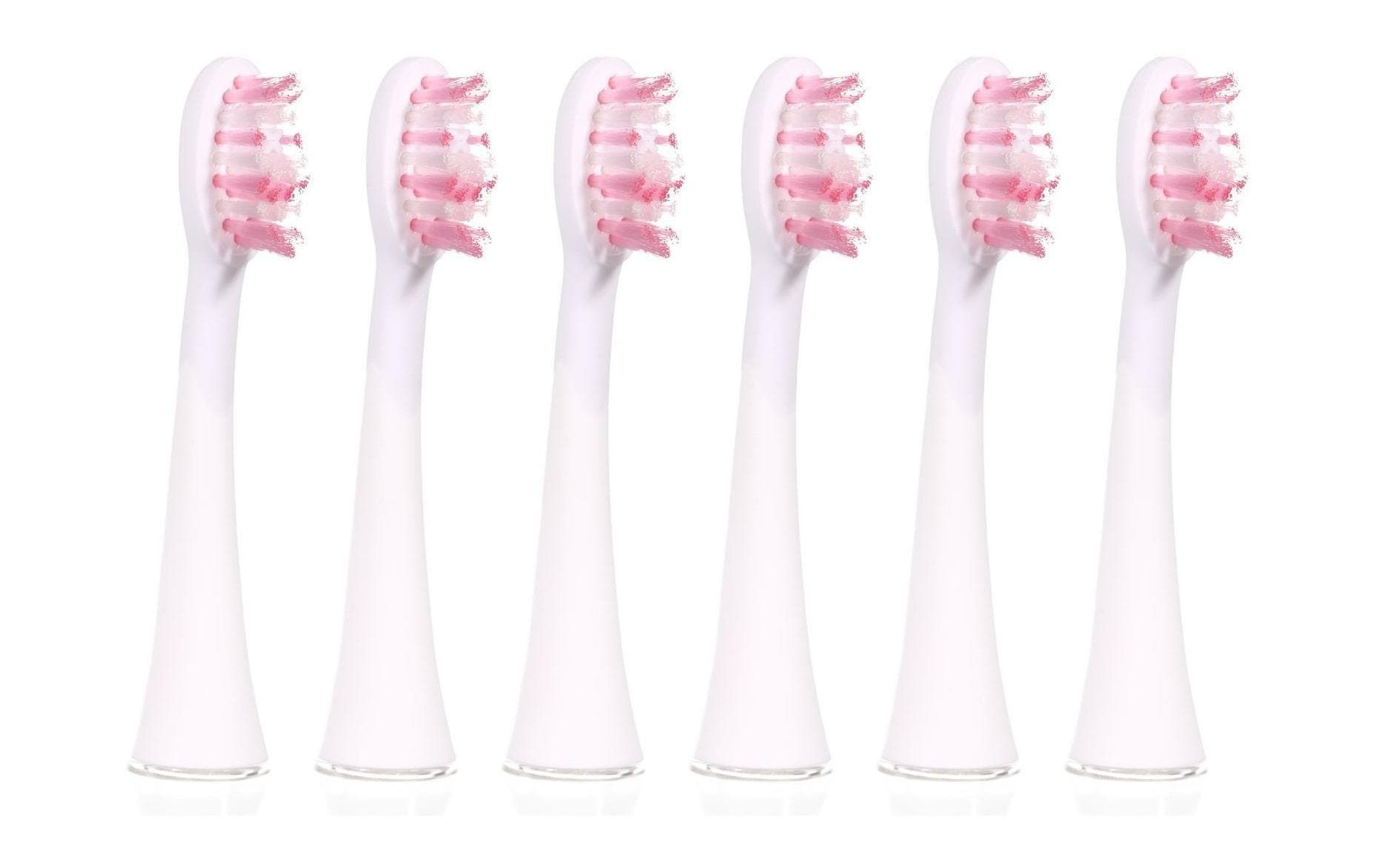 Ailoria Zahnbürstenkopf Shine Bright Extra Clean Weiss, 6 Stück