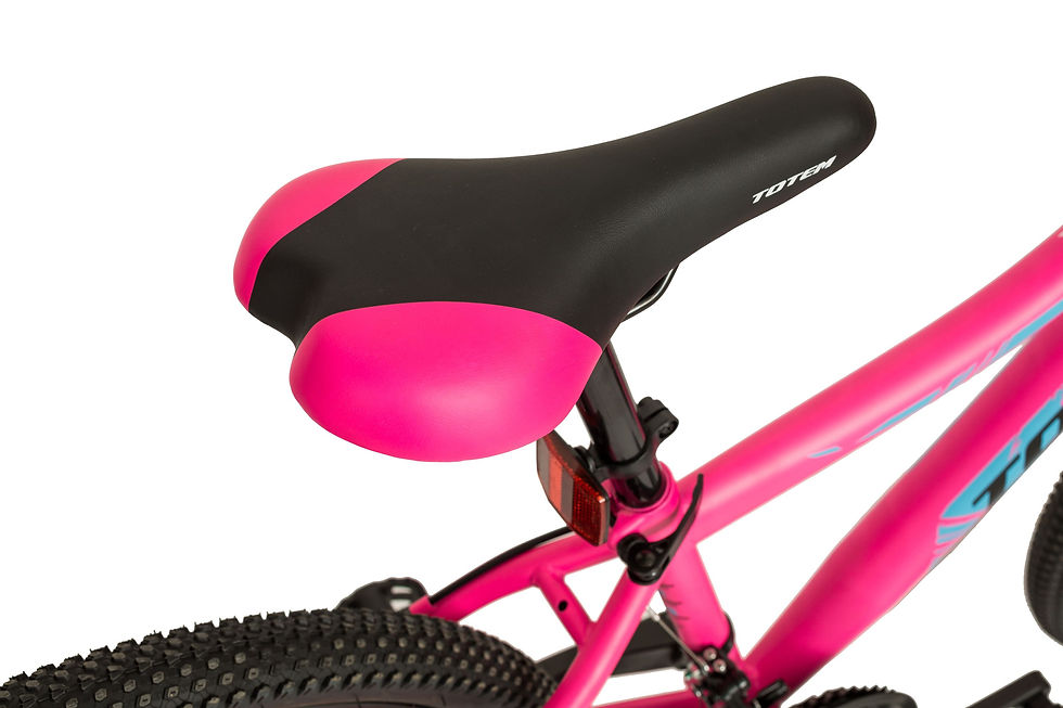 Miniaturbild: Mountainbike RACERGIRL 24 Zoll