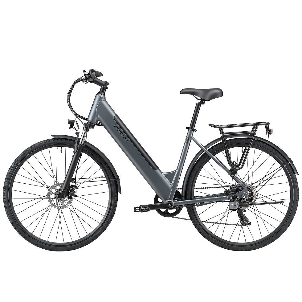 Miniaturbild: E‑Bike Citybike SOFIA Anthrazit