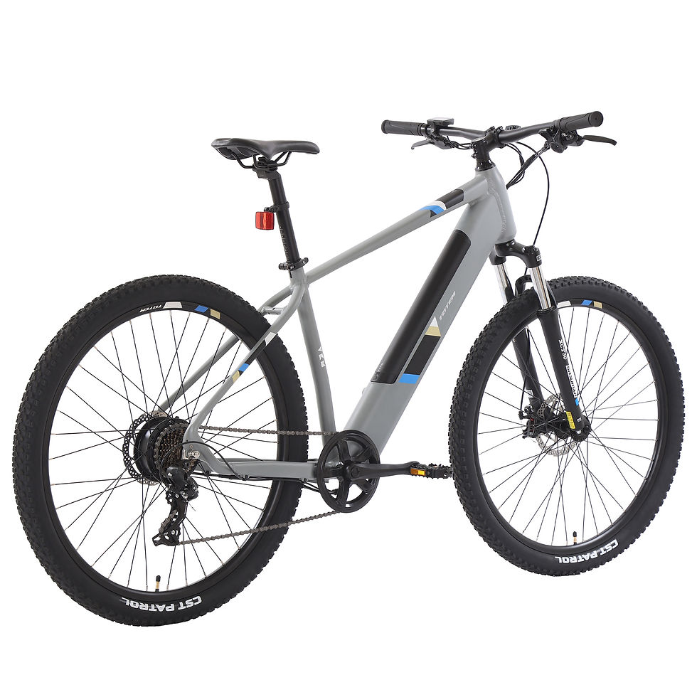 Miniaturbild: E-Bike Mountainbike ORRA 29 Zoll Hellgrau