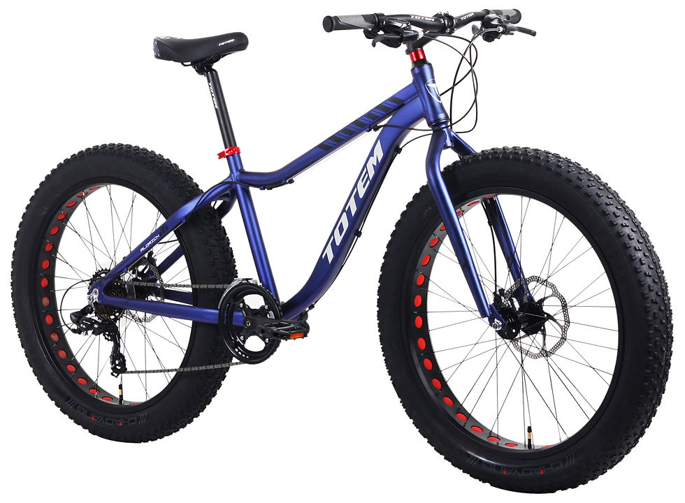 Miniaturbild: MTB Fatbike BEAR X 26 Zoll