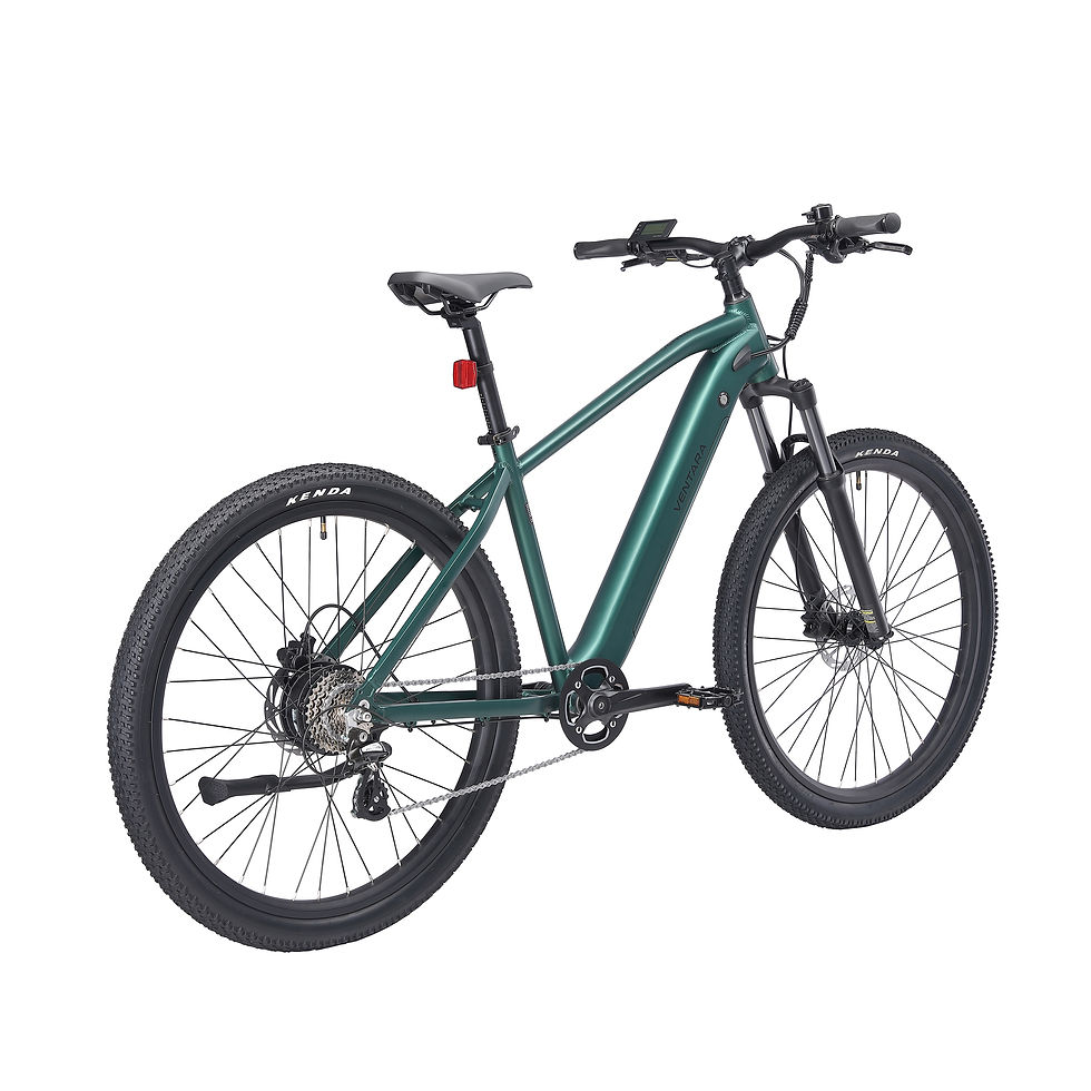 Miniaturbild: E‑Bike Mountainbike AVALANCHE 29 Grün