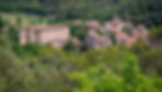 section banner-Home.jpg