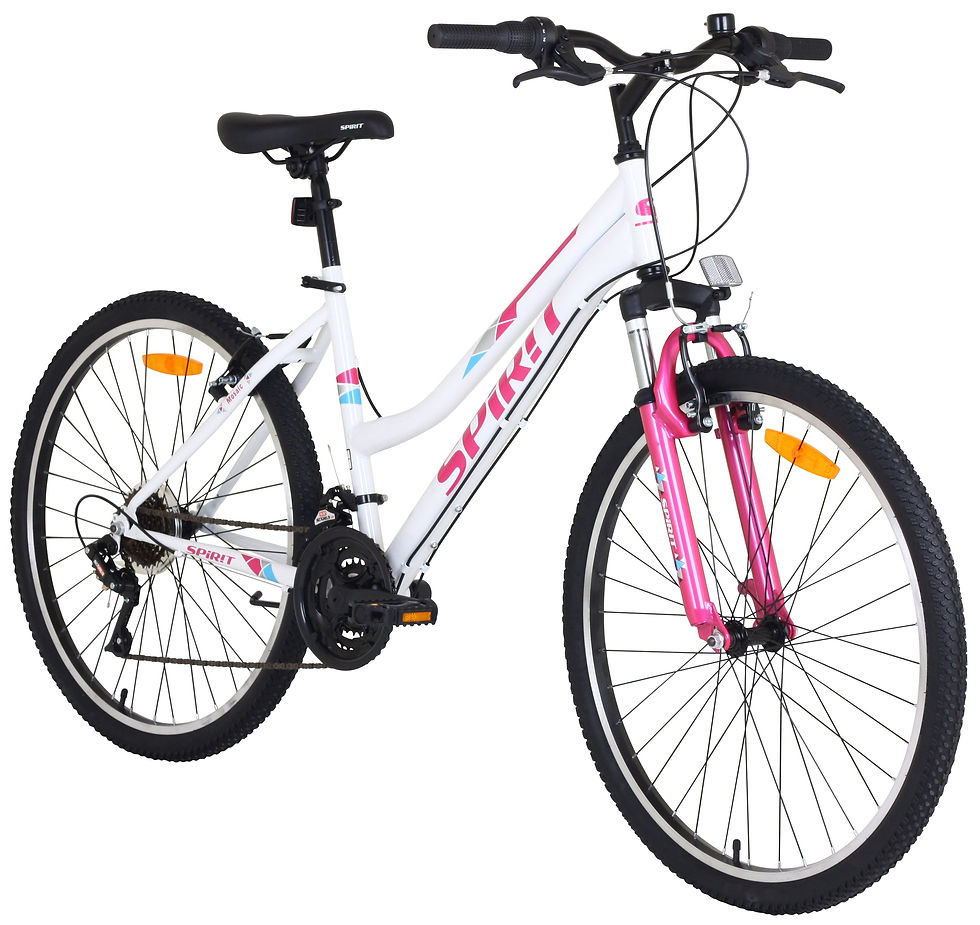 Miniaturbild: Mountainbike SOUL 26 Zoll