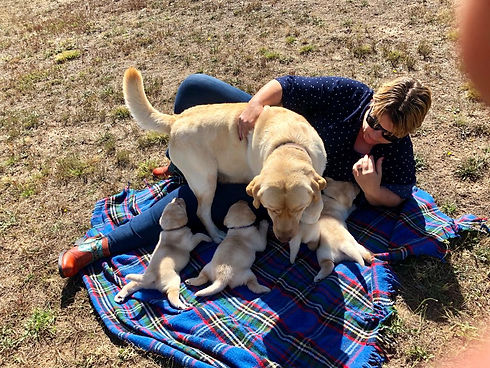 Amanda Sora and Pups.jpeg