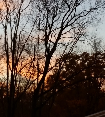 20141027_180711.jpg