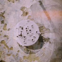Perforated Rutile Wall Plate at Bronte